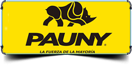 Pauny